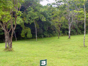 Lot 3 has in front of it the forested 50-meter setback from the lake. 