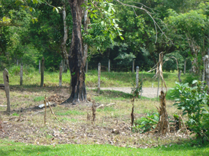 The unpaved road leads to about 20 other residences on the long peninsula.