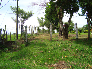 The lot extends uphill from the road to the first Tronadora peninsula.