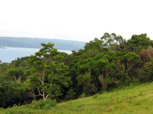 The lot's easy slopes flanked by forest provide extraordinarily broad lake views. 