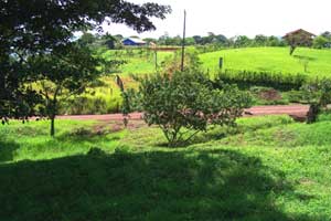 Lot for sale at Lake Arenal, Costa Rica