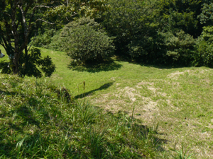 Below the top site are two more level areas.