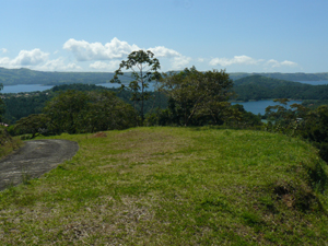 The uppermost of 3 building pads on Lot 5 has this lake view.