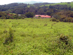 Looking from the top of the lot down to the Lago Arenal service station, which is beside the lake highway.