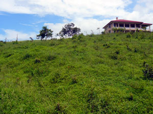 The nearest neighbor is this large new house higher on the hill.