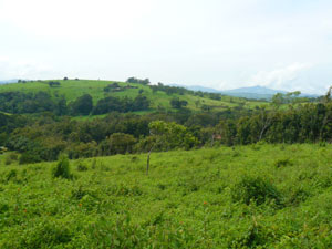 This is the view from the lot directly south to the hills on the other side of the lake highway.