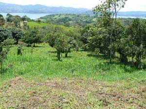 Lot for sale at Lake Arenal, Costa Rica