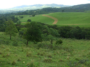 The lot extends to the tree-shaded stream in the small valley.