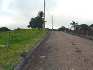 The development, just a few minutes from Tilaran on the Silencio Road, has paved internal roads, electric lines, and water.