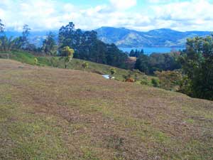 Lot for sale at Lake Arenal, Costa Rica