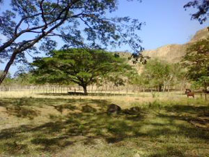 The property before Libano just off the paved road from Tilaran.