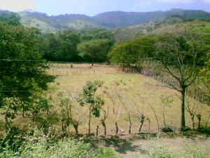 The property as seen from a slightly higher vantage poiint.