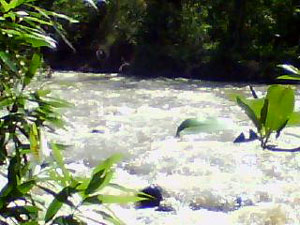 The Canas River (Rio Canas) hurries down a slight rapids beside the lot. 