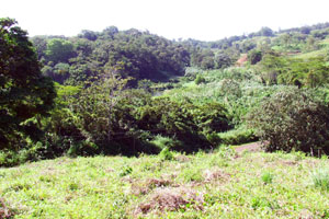 This shows the main Lake Arenal road in 2005 before paving was finished between Nuevo Arenal and the dam.