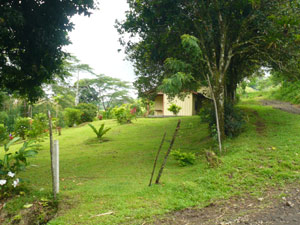 The two cabins are set in the trees on the lower part of the lot less than 200 yards from the lake, which is across the lake highway.