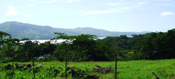 The large nearly level pastured area offers wonderful lake and volcano view building sites.