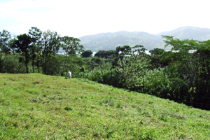 The lot has pasture, forest and lake and volcano views.