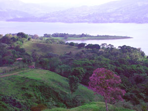 Below this vantage point, the lot, the flat area center left, sits on a promontory with fine lake and territorial views.