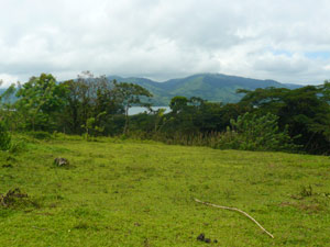 The broad lot at the top of the property has a lake view and plenty of space for one or more homes or cabins.