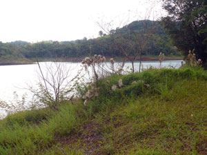 A view of Turtle Cove.