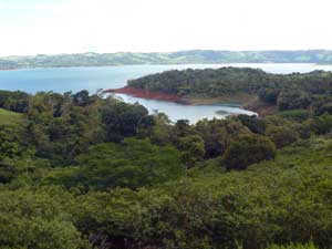 Turtle Cove as seen from the highest lots.