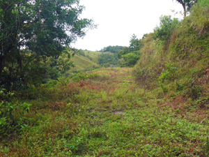 The building site is seen here at the far end of the wide, flat road in.