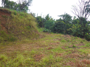 From the building site, here is the view back at the internal road.