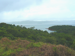 Turtle Cove, where there is a floating dock and boat launch, is directly west of the lot as seen here.