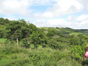 The line of hills continues northward toward the dormant volcanes Tenorio and Miravalles.