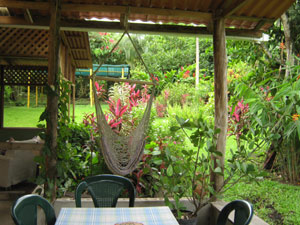 Patio with hammock