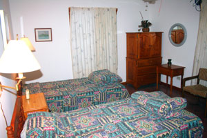 The second bedroom has twin beds. 