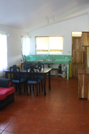 Looking from the living room to the kitchen at the other end of the open-plan interior.