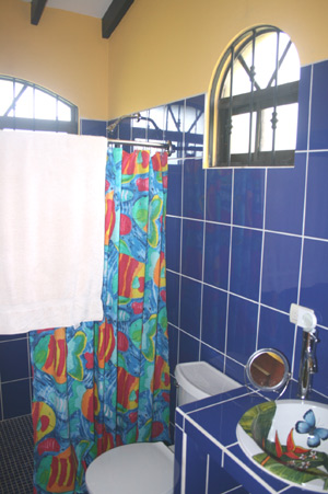 The bathroom is colorfully decorated and has modern fixtures.