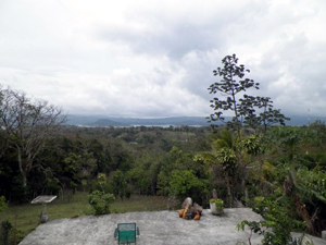 Between the house and the lake are many trees and exotic plants to attract a wonderful array of colorful birds and other wildlife.