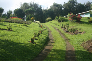 A driveway curves uphill through fine landscaping to the house.