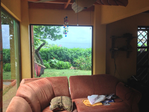 A view from the first floor living room.