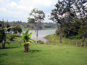 The cove is a few yards in front of the house.