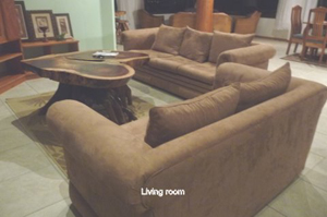 The living room furniture provides high quality comfort.